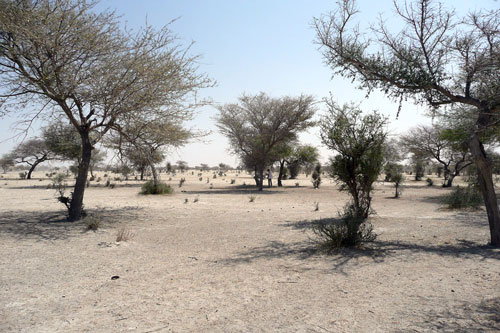 20200120-NEWS-Wilton-Park-Climate-Change