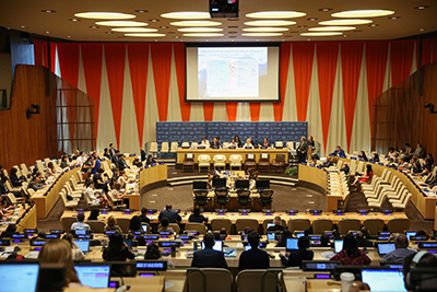 small-ecosoc-united-nations